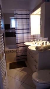 Koupelna v ubytování László Apartman