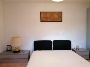 um quarto com uma cama e uma fotografia na parede em Little Star Pioppa em Riondi