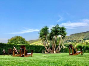 a group of chairs sitting on a grass field at Hotel Posada La Robleda in Arnuero
