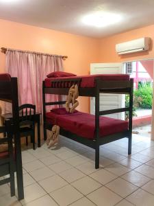 Двухъярусная кровать или двухъярусные кровати в номере Tropical Paradise Express