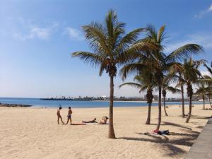 a group of people on a beach with palm trees at Hostal Residencia Cardona in Arrecife
