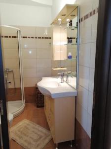 a bathroom with a sink and a shower at Green Garden Studios in Koskinou