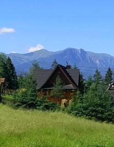 a house in a field with mountains in the background at Cyrwony Domek in Poronin
