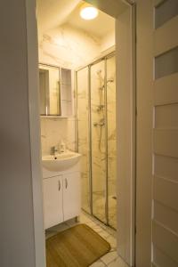 布拉涅沃的住宿－APARTAMENTY CENTRUM，一间带水槽和淋浴的浴室