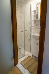 een badkamer met een douche en een wastafel bij APARTAMENTY CENTRUM in Braniewo