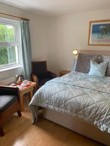 een slaapkamer met een bed, een stoel en een raam bij Brooke Lodge Guesthouse in Magherafelt