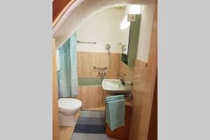 Ένα μπάνιο στο Bezauberndes Haus für erholsame Ferien im Puschlav +16 φωτογραφίες