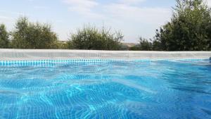 a large swimming pool with blue water at Sotto l'Ulivo in Mondavio