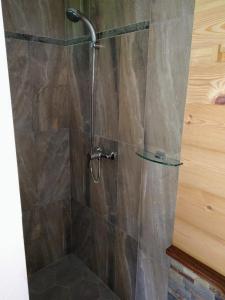 a shower with a glass door in a bathroom at Lepa Lopa resort in Stahovica +85 photos