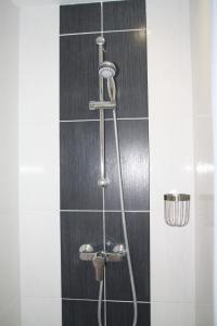 a shower with a shower head in a bathroom at Perhistorique in Périgueux