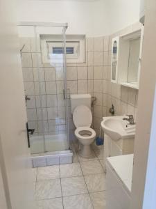 a bathroom with a shower and a toilet and a sink at Apartment Oblak in Vrsi
