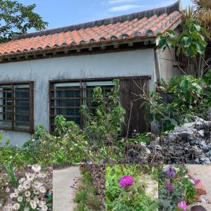 an old house with a garden in front of it at Travelers House おーさんてぃん青空舎 in Taketomi