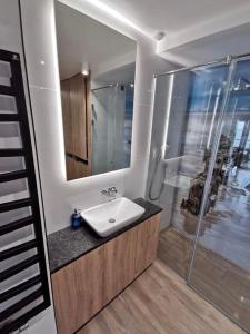 a bathroom with a sink and a shower at Apart House by Gardenia in Dziwnów