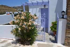 une porte bleue avec une plante devant une maison dans l'établissement Studio Ioanna Tinos, à Kionia