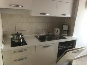Kuchyň nebo kuchyňský kout v ubytování Apartments ORSIC