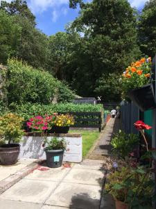 a garden with flowers in pots on a fence at Glaslough Ramblers Rest in Monaghan