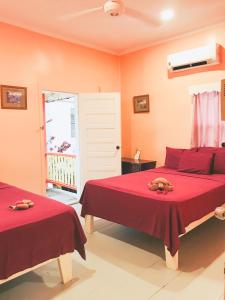 Ένα ή περισσότερα κρεβάτια σε δωμάτιο στο Tropical Paradise Express