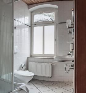 a bathroom with a toilet and a sink and a window at Land-gut-Hotel Cafe Meier in Kurort Oybin