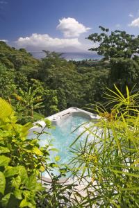 a small swimming pool in the middle of a forest at Ocean view & spa in Punaauia