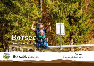 Gallery image of Pensiunea Favorit Ferice in Borsec