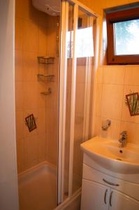 a bathroom with a shower and a sink at FONTREY in Fontanka