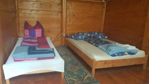 two beds in a room with wooden walls at Camping Zamolxe in Sarmizegetusa +22 photos