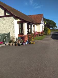 una casa con macetas delante de ella en The Denes, en Mablethorpe