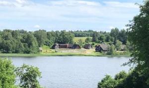 a view of a lake with houses and trees at Sammuli Holiday Village in Viljandi
