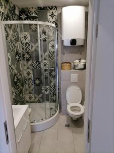 トゥチェピにあるApartment Lukaの小さなバスルーム(シャワー、トイレ付)