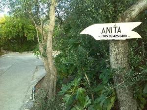 a sign on a tree next to a street at apartmani ANITA, Korčula in Korčula