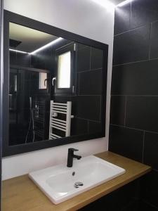 La salle de bains est pourvue d'un lavabo et d'un grand miroir. dans l'établissement Le garage de Sophie, à Aiguebelette-le-Lac