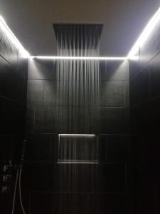La salle de bains est pourvue d'une douche avec rideau. dans l'établissement Le garage de Sophie, à Aiguebelette-le-Lac