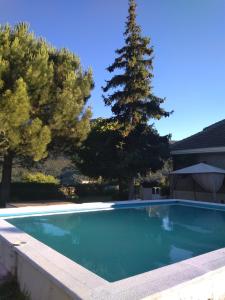una piscina con un árbol en el fondo en LAS AMAPOLAS, en Arguis