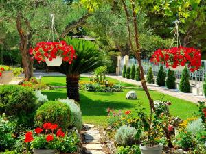 Zahrada ubytování Guest House Antonia