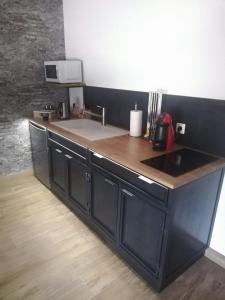 uma cozinha com um lavatório e uma bancada em Le garage de Sophie em Aiguebelette-le-Lac