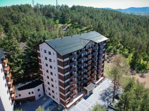 an overhead view of a building in the woods at Apartment Center Valley in Vila Pekovic Green in Zlatibor