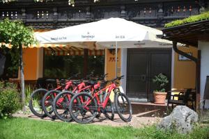 Jízda na kole v ubytování Bergfrieden Leutasch/Seefeld nebo okolí