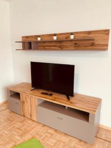 TV a/nebo společenská místnost v ubytování Apartementhaus Schöndorfer