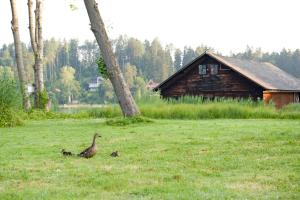 Loomad hotelli aladel või selle läheduses