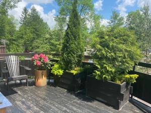 Ogród w obiekcie Apartament Rodzinny Centrum Zakopane