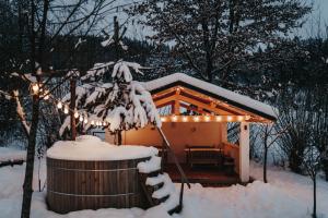 Galeriebild der Unterkunft Talhaus in Vişeu de Sus