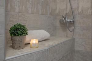 een potplant op een aanrecht in een badkamer bij Apartma Bohinj in Bohinj