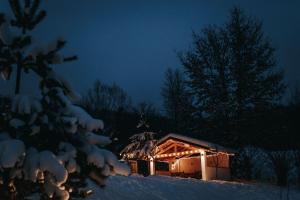 Galeriebild der Unterkunft Talhaus in Vişeu de Sus