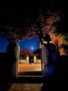 A garden outside Villa Rica