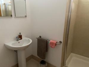 a white bathroom with a sink and a shower at The Loft in Kilmessan