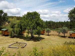 a field with an old hose in the grass at Quinta Portugo in Cernache do Bonjardim