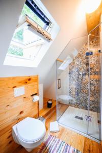 a bathroom with a toilet and a shower at Casa lu' Ion in Vişeu de Sus