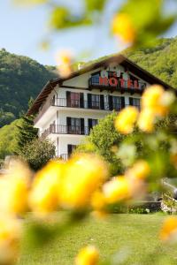 Nespecifikovaný výhled na hory nebo výhled na hory při pohledu z hotelu