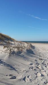 a sandy beach with a tree in the sand at Dom Rybaka apartament 4 in Ustka +4 photos