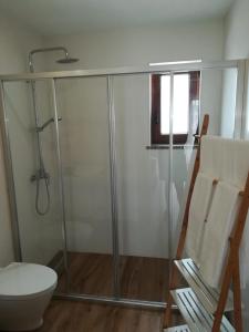 a bathroom with a shower and a toilet at Vila Lira in Aljezur